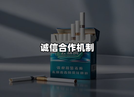 专业优势